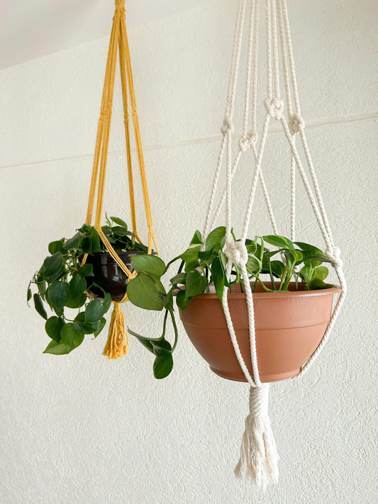 Hanging Plant Decor for Vertical Apartment Spaces