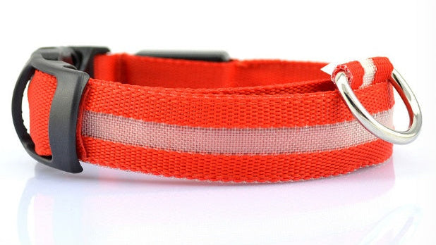 LED Dog Collar for Night Safety | USB Rechargeable Glow in Dark Pet Collar