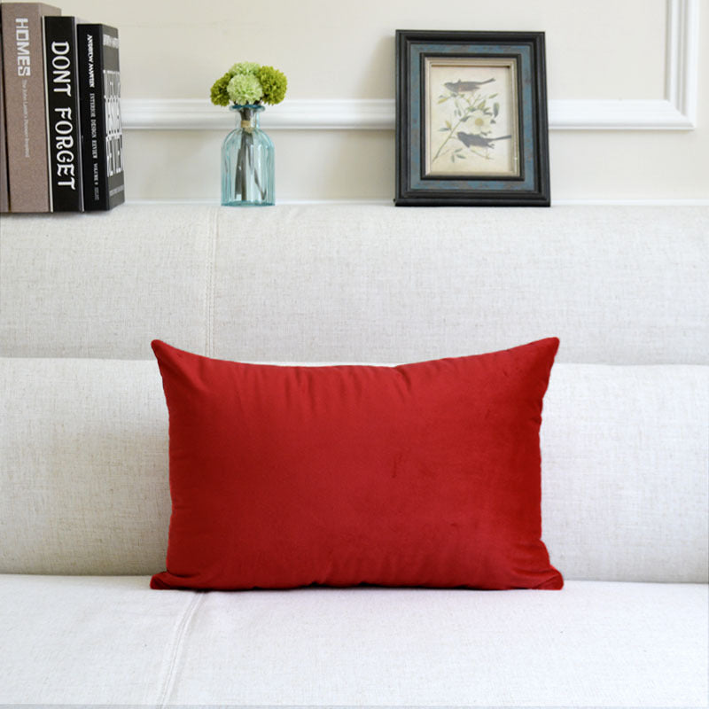 Stylish Velvet Throw Pillow for a Touch of Glam