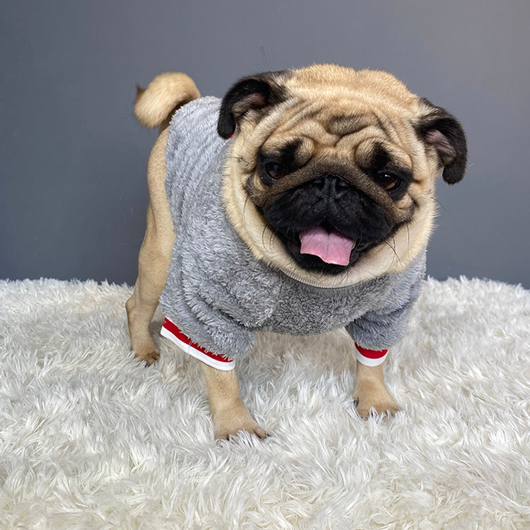 Winter Pet Sweater – Warm Dog & Cat Outfit for Cold Weather Comfort