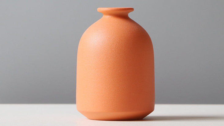 Modern Home Ceramic Vase – Stylish Living Room & Flower Display
