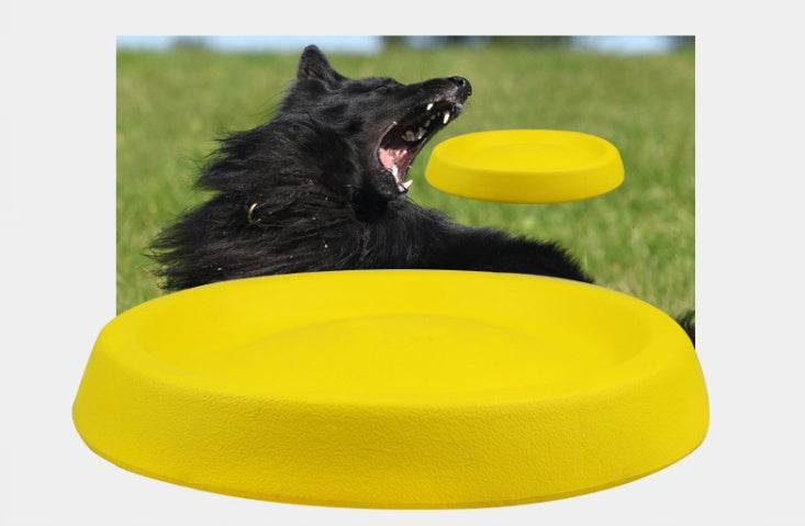 Interactive Dog Toy – Durable Throwing Plastic Fetch Toy for Active Pets