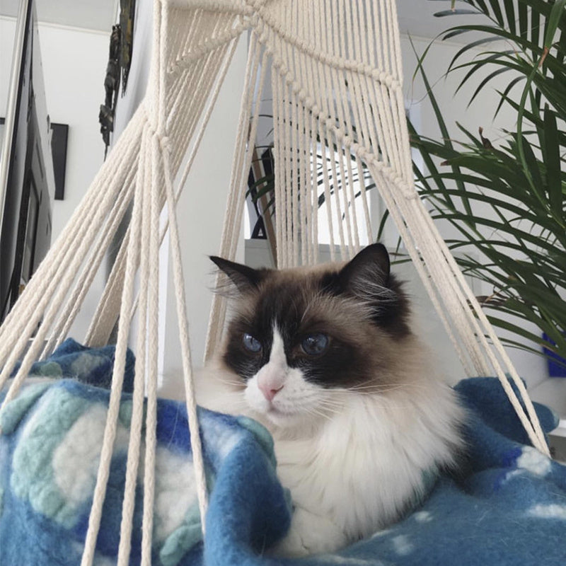 Macrame Hanging Pet Swing – Cozy Perch for All Seasons