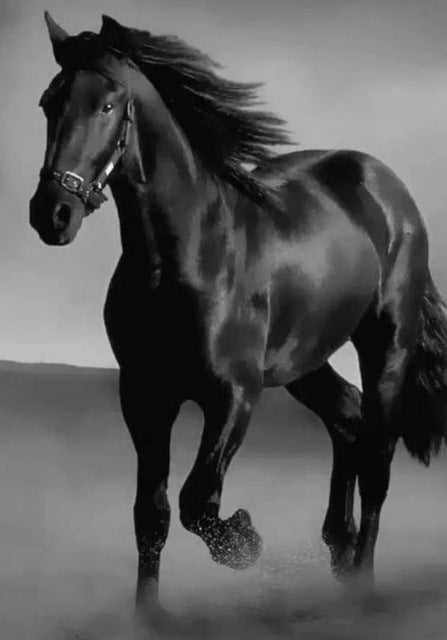 Majestic Horse Wall Art – Add Power and Grace Instantly