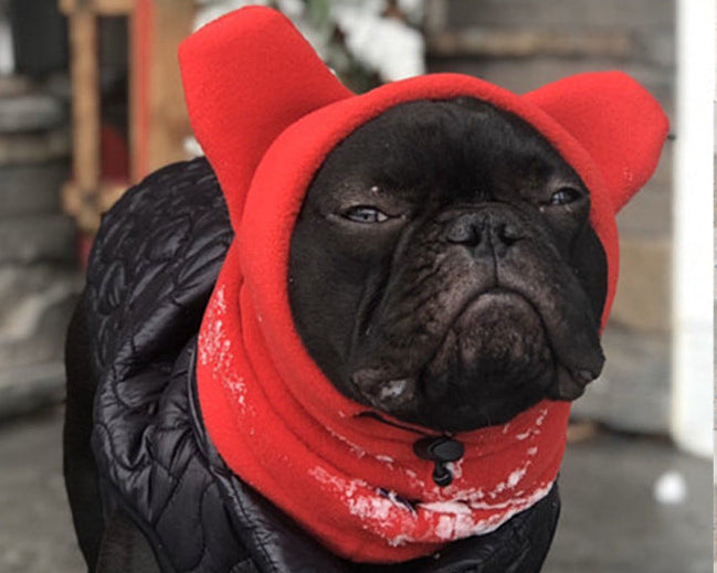 Dog Sweater Fleece Pullover Warm Winter Pet Clothing Cozy Small Dog Outfit