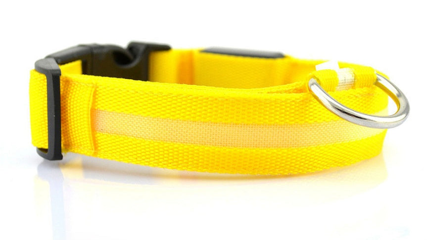 Adjustable LED Dog Collar – Bright Glowing Pet Collar for Night Walk Safety & Visibility