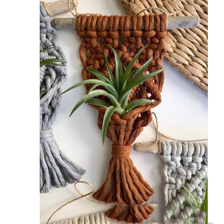 Cute Macramé Holders for Your Tiny Green Friends