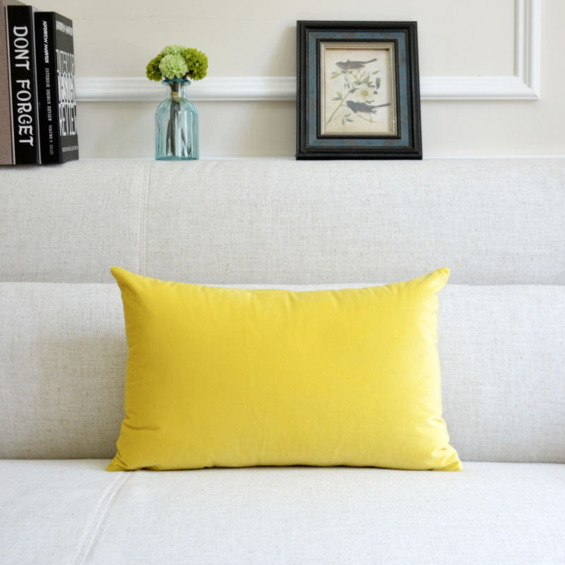 Stylish Velvet Throw Pillow for a Touch of Glam