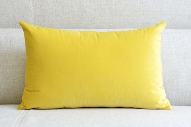 Stylish Velvet Throw Pillow for a Touch of Glam