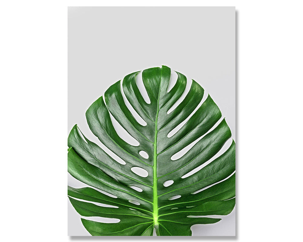 Green Plant Canvas Painting for Fresh Home Vibes