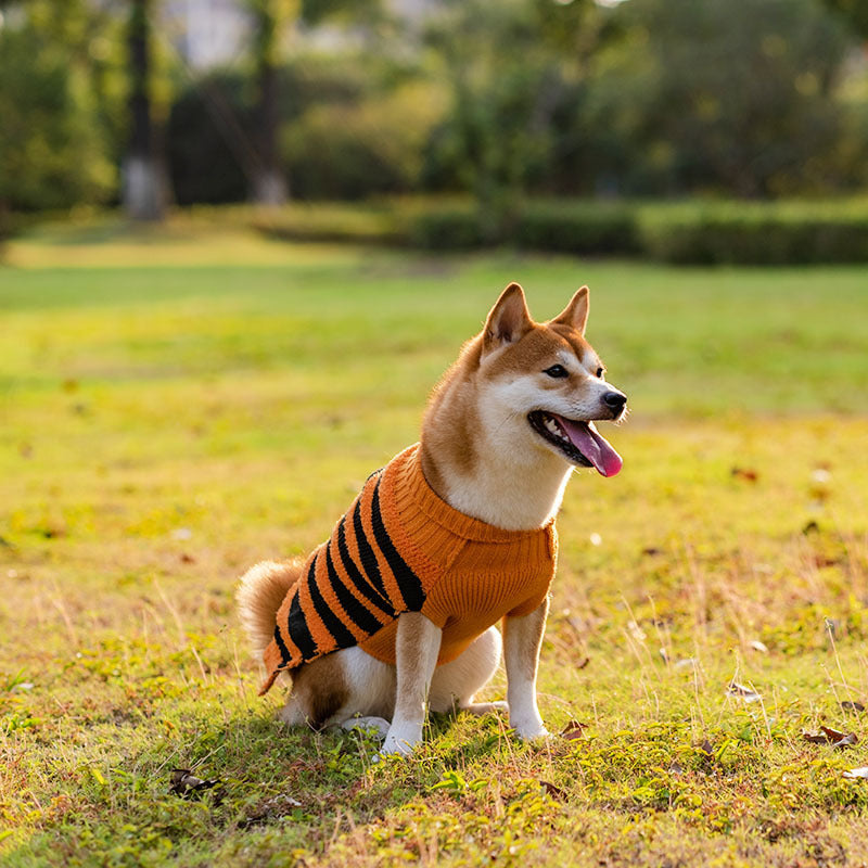 Spooky Cute Dog Sweater for Halloween Fun