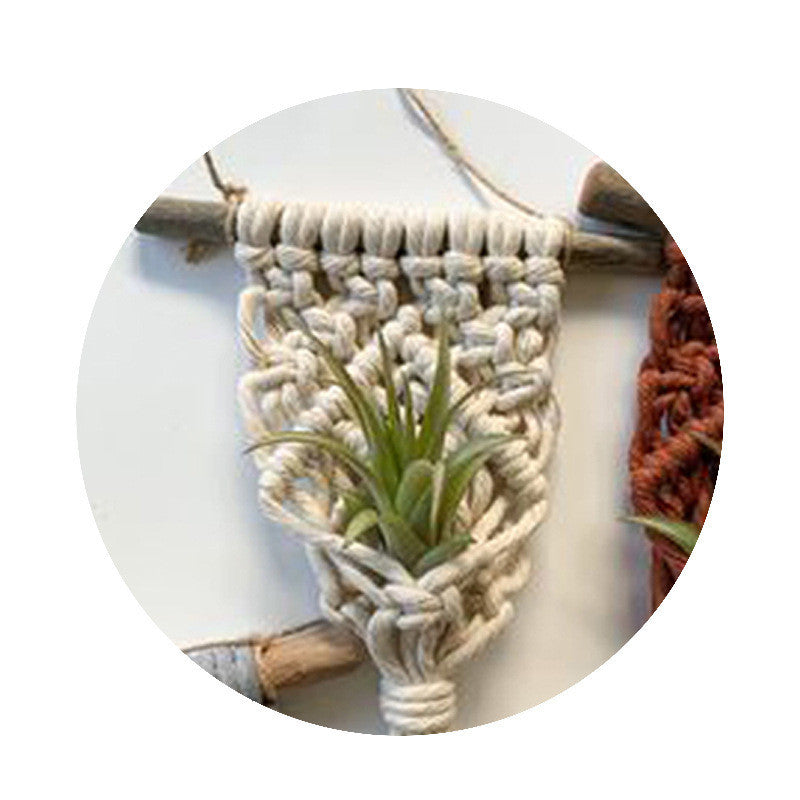 Cute Macramé Holders for Your Tiny Green Friends
