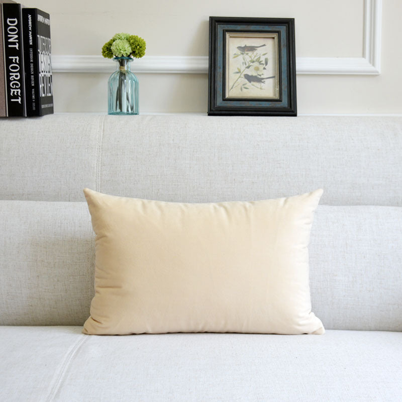 Stylish Velvet Throw Pillow for a Touch of Glam
