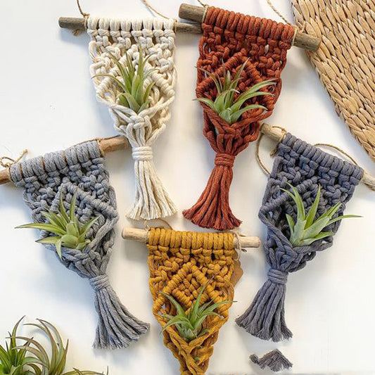 Cute Macramé Holders for Your Tiny Green Friends