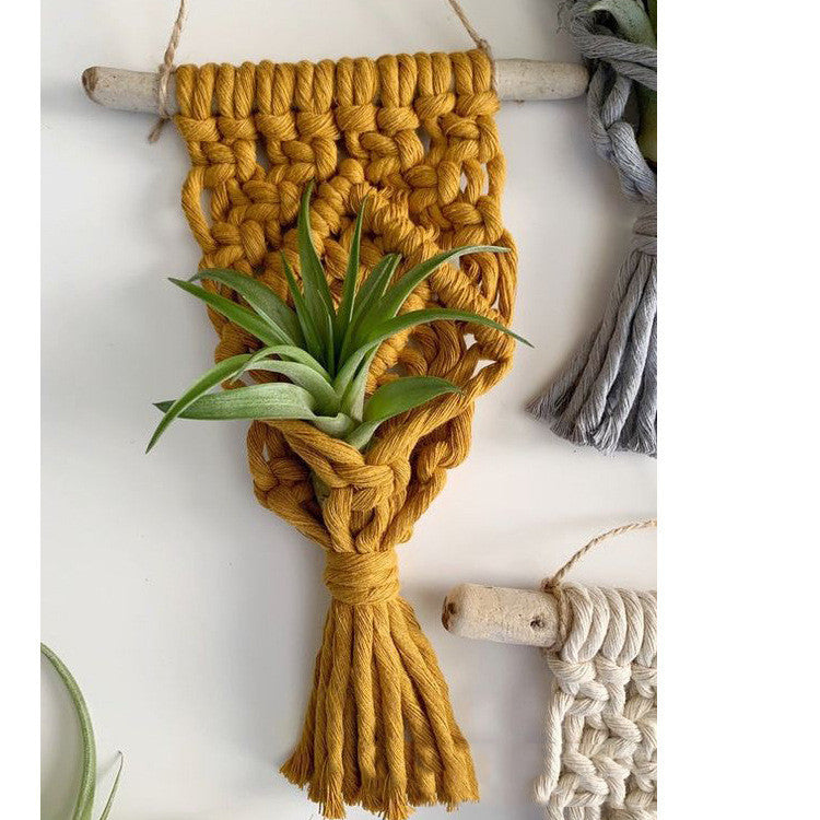 Cute Macramé Holders for Your Tiny Green Friends