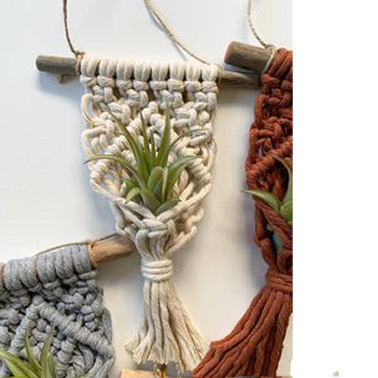 Cute Macramé Holders for Your Tiny Green Friends