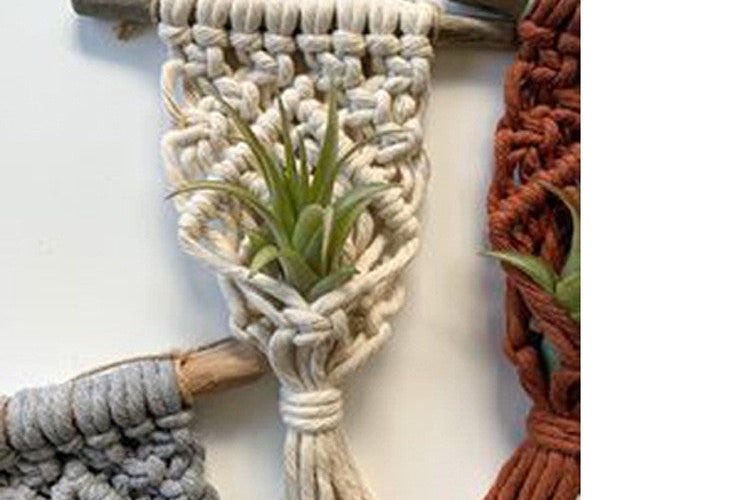 Cute Macramé Holders for Your Tiny Green Friends