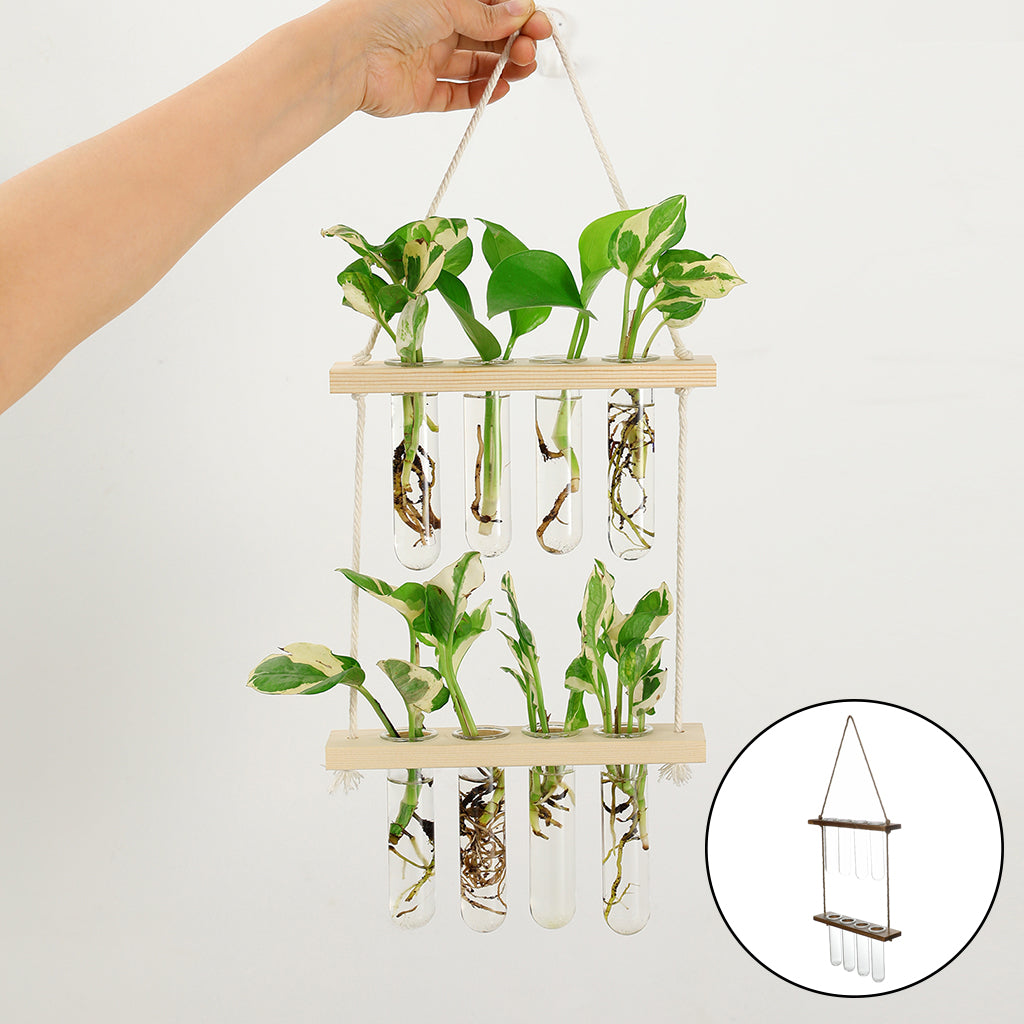 Hanging Glass Plant Propagator – Modern Wall Planter for Home & Office Decor