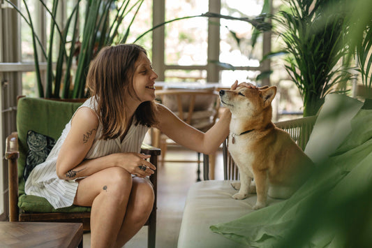 Top 5 Pet-Friendly Home Decor Products to Sell