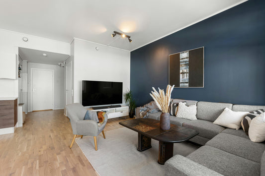 Living Room Decor Ideas with Sofa Accent Walls