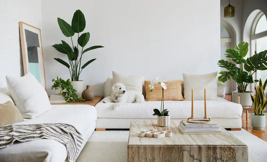 The Best Faux Plants for Dark Rooms