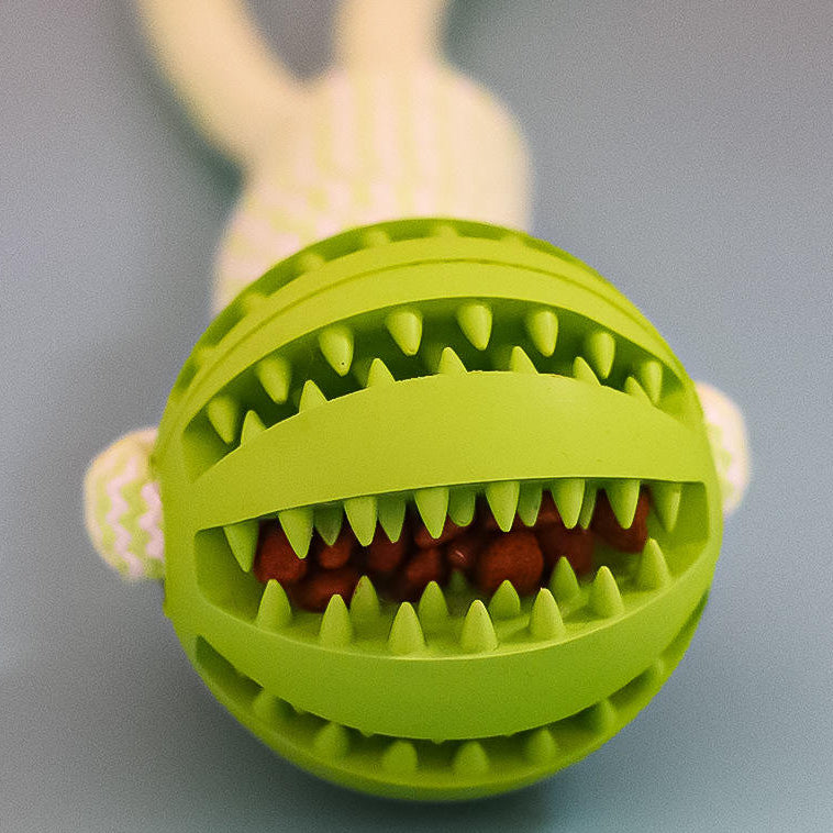 Pet Enrichment Toys – Chew & Treat Balls for Small Dogs and Puppies