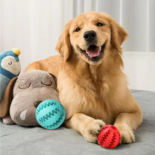 Pet Enrichment Toys – Chew & Treat Balls for Small Dogs and Puppies