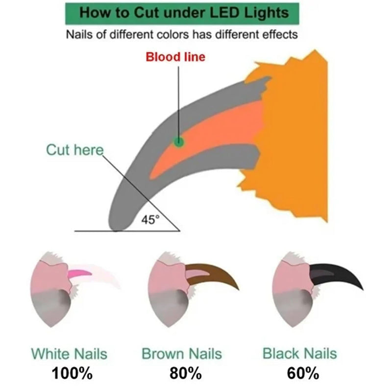 Pet Nail Trimmer LED Light – Professional Dog Cat Grooming Clippers for Home Care & Safety