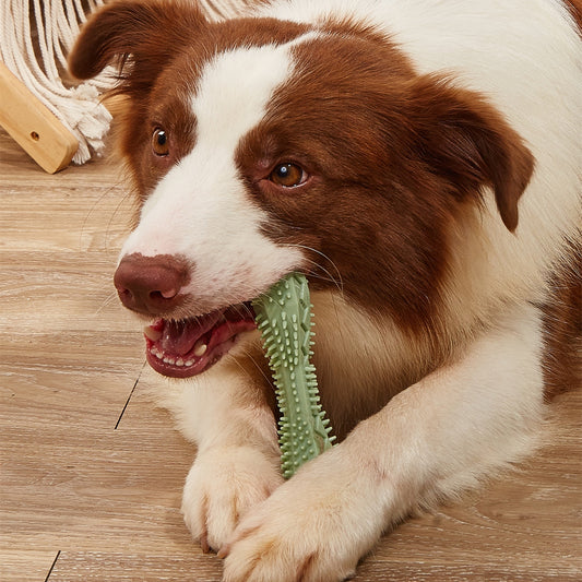 Interactive Dog Chew Toy – Dental Teeth Cleaning Toy for Dogs & Puppies