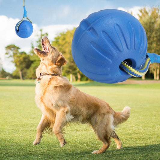 Dog Training Bouncing Ball Toy – Interactive Chew Toy for Puppies & Large Dogs