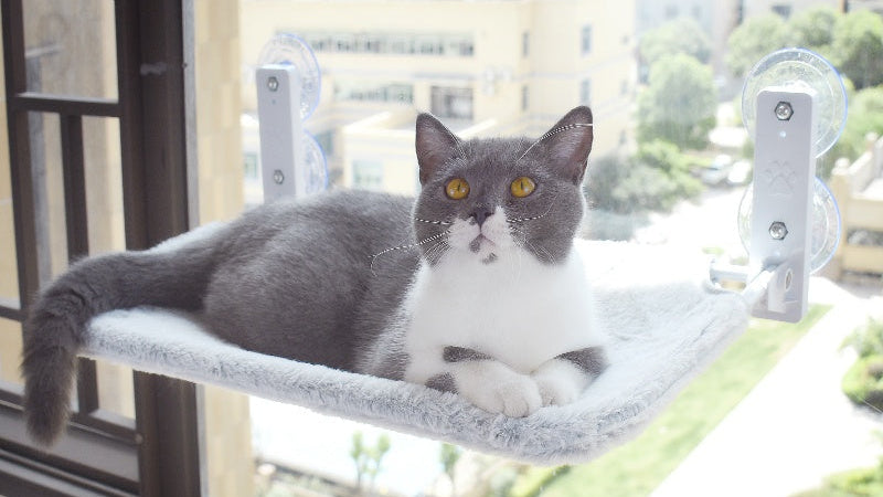 Cat Window Hammock Suction Cup Bed – Space Saving Sunbathing Perch for Indoor Cats
