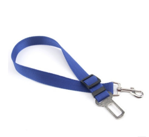 Heavy Duty Dog Leash – Durable No-Pull Training Lead for Small to Large Dogs