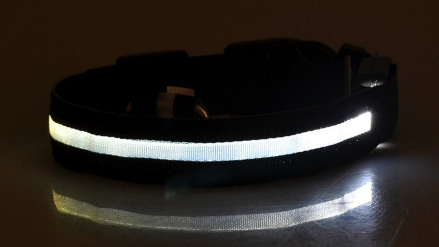 Adjustable LED Dog Collar – Bright Glowing Pet Collar for Night Walk Safety & Visibility
