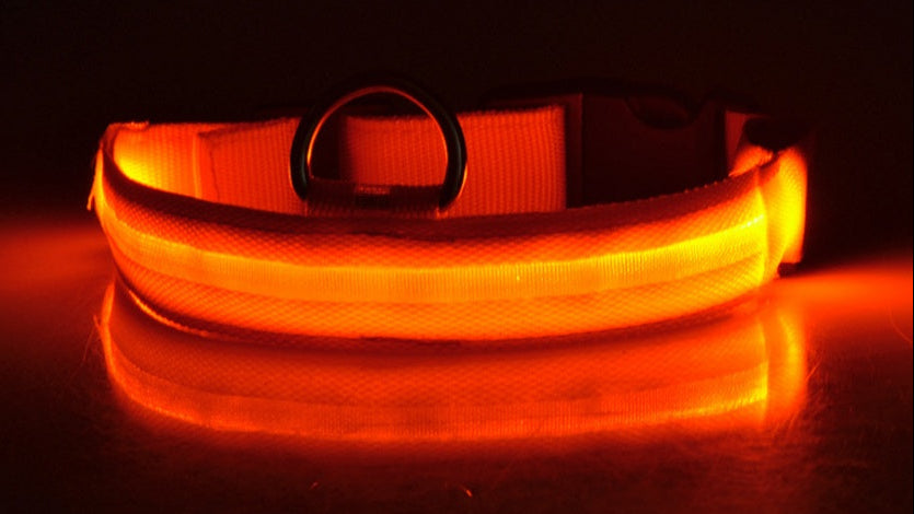 Adjustable LED Dog Collar – Bright Glowing Pet Collar for Night Walk Safety & Visibility