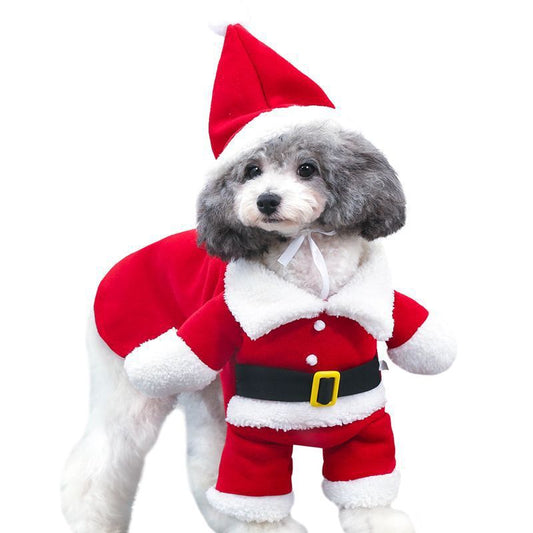 Adorable Pet Christmas Costume – Perfect Holiday Photo Outfit