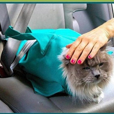 Breathable Pet Cat Sling Carrier – Outdoor Travel Shoulder Bag for Cats & Puppies