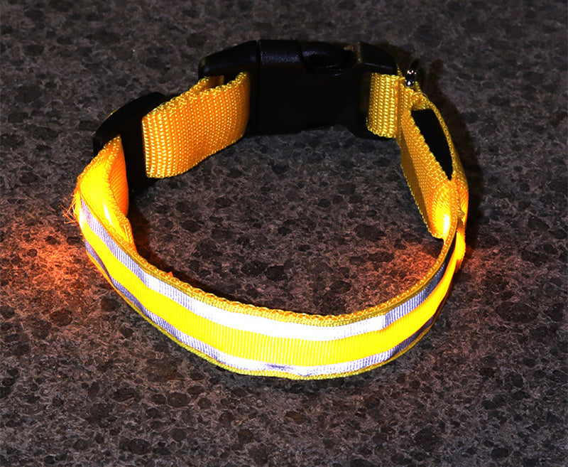 Anti-Lost LED Dog Collar | Luminous Night Safety Collar for Dogs