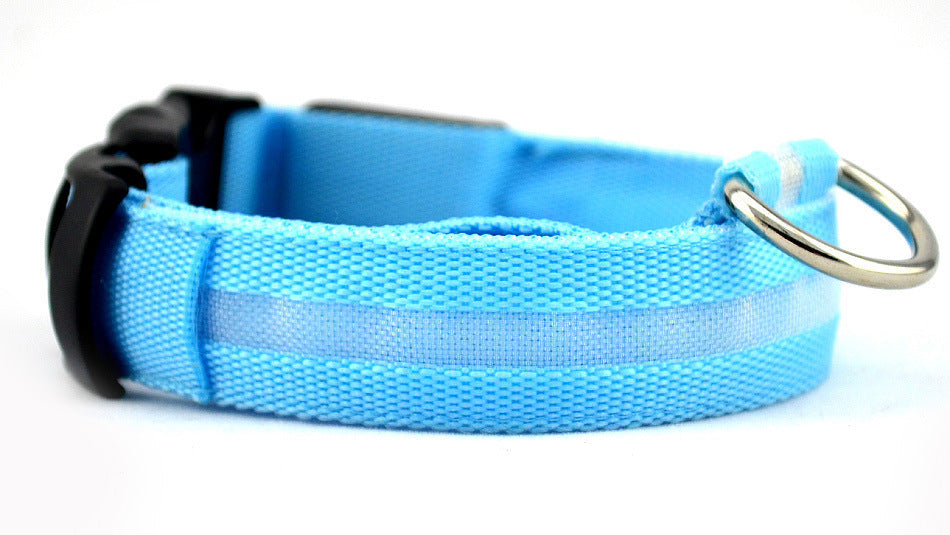 LED Dog Collar for Night Safety | USB Rechargeable Glow in Dark Pet Collar
