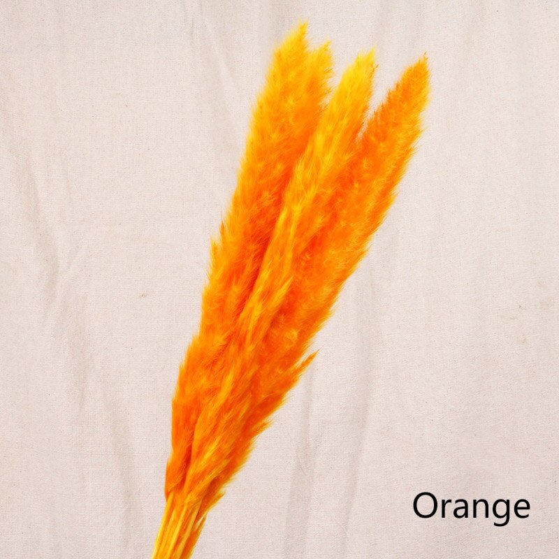 Dried Reed Flower Home Decor – Natural Boho Vase Arrangement for Living Room Styling