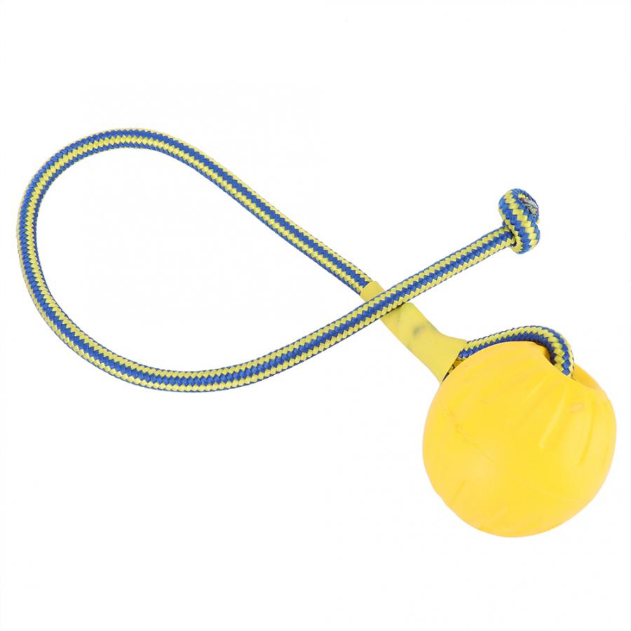 Dog Training Bouncing Ball Toy – Interactive Chew Toy for Puppies & Large Dogs