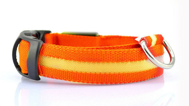 LED Dog Collar for Night Safety | USB Rechargeable Glow in Dark Pet Collar