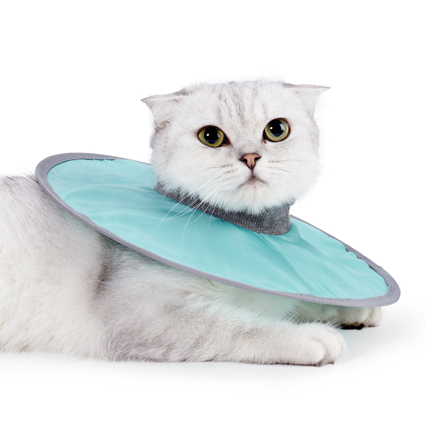 Soft Recovery Collar for Cats – Protective Cone Alternative for Wound Care