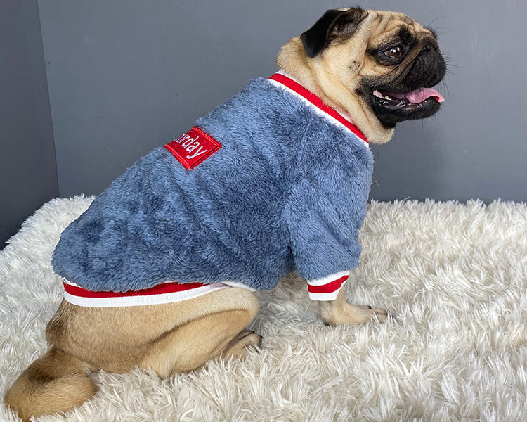Winter Pet Sweater – Warm Dog & Cat Outfit for Cold Weather Comfort