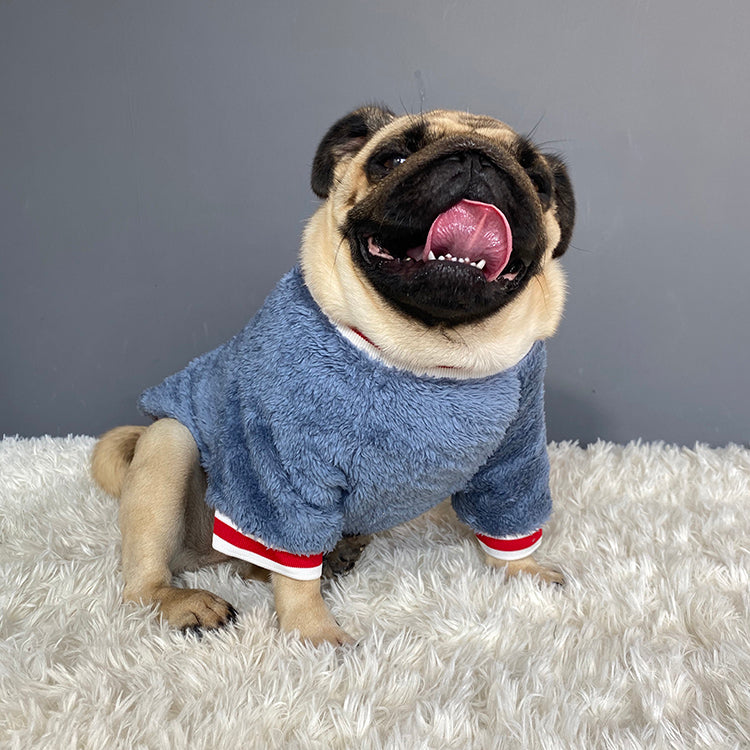 Winter Pet Sweater – Warm Dog & Cat Outfit for Cold Weather Comfort
