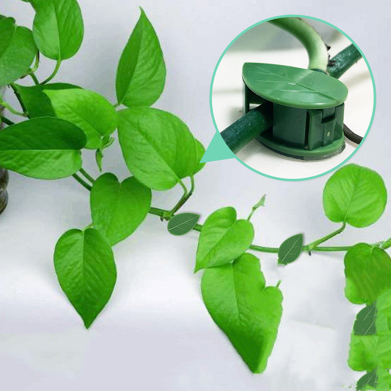 Garden Plant Climbing Clips – Self Adhesive Wall Fixer for Vines, Flowers & Green Plants