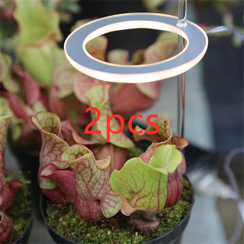 Portable LED Grow Lamp for Plants – Full Spectrum Indoor Plant Light