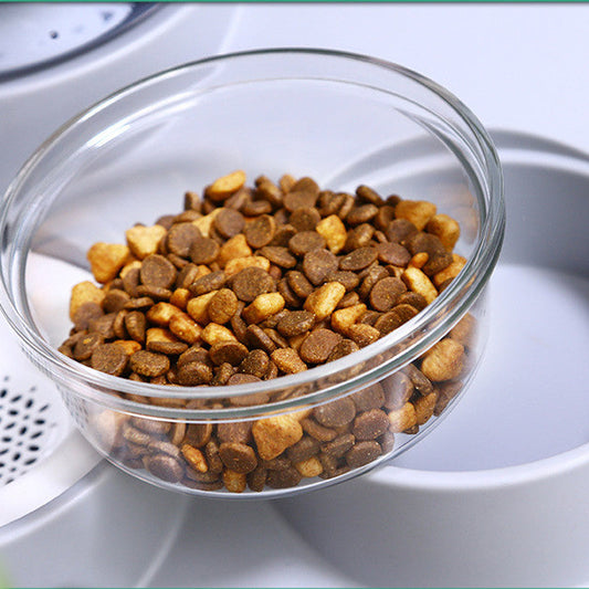 Portable Automatic Pet Water Dispenser – Unplugged Cat & Dog Drinking Feeder