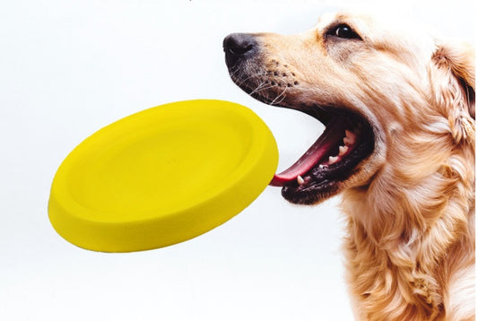 Interactive Dog Toy – Durable Throwing Plastic Fetch Toy for Active Pets