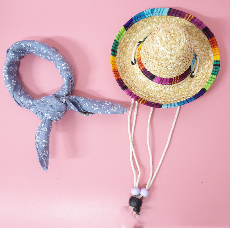Pet Summer Outing Set – Travel Accessories for Dogs & Cats Outdoor Adventure Kit