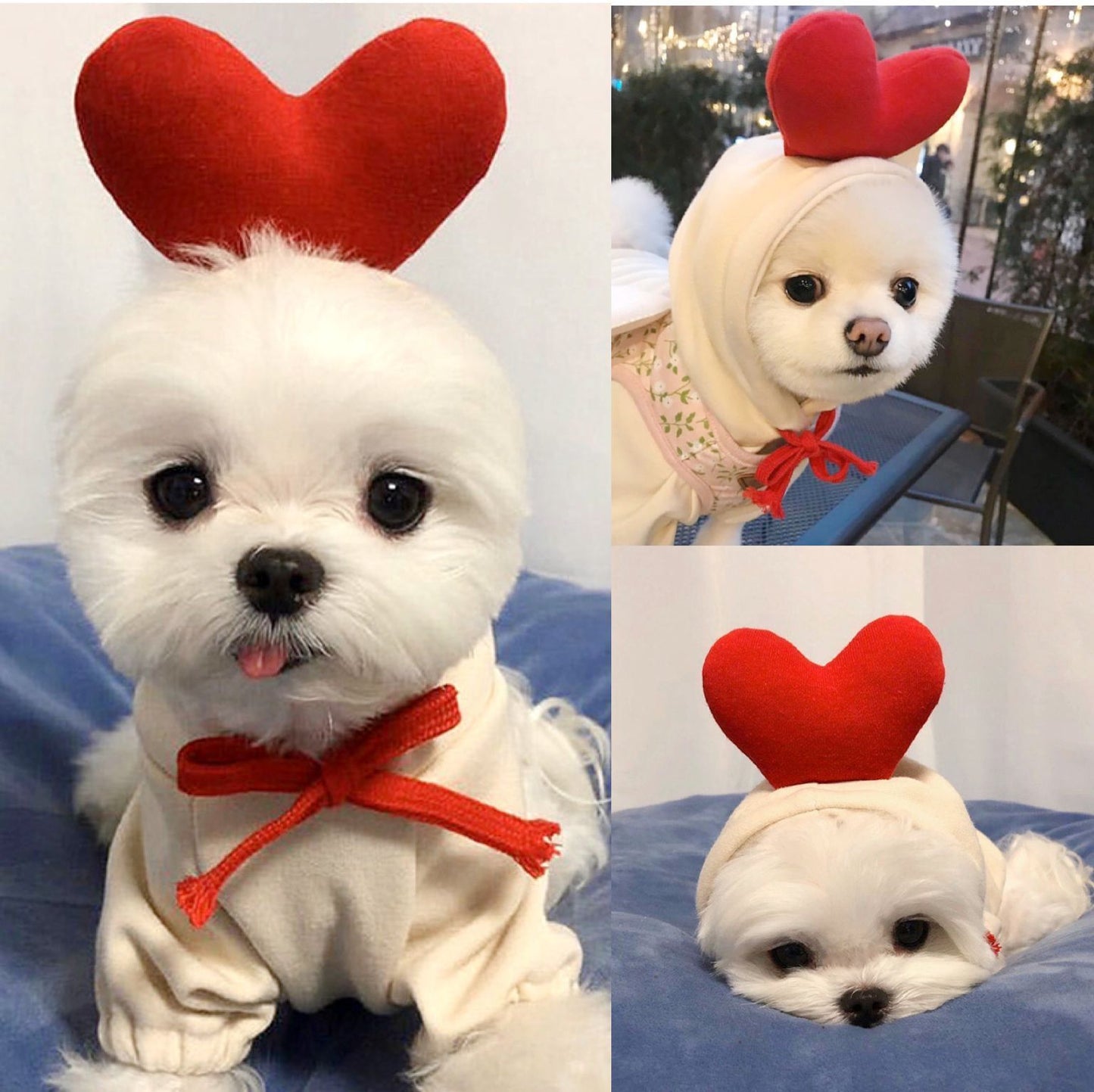 Cozy Dog Hoodie for Small Dogs – Cute Fruit Winter Pet Clothing Outfit